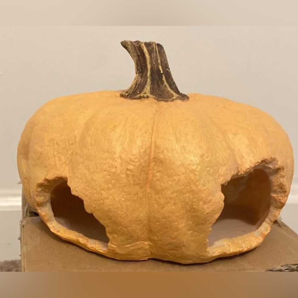 Resin Pumpkin Reptile Hideout